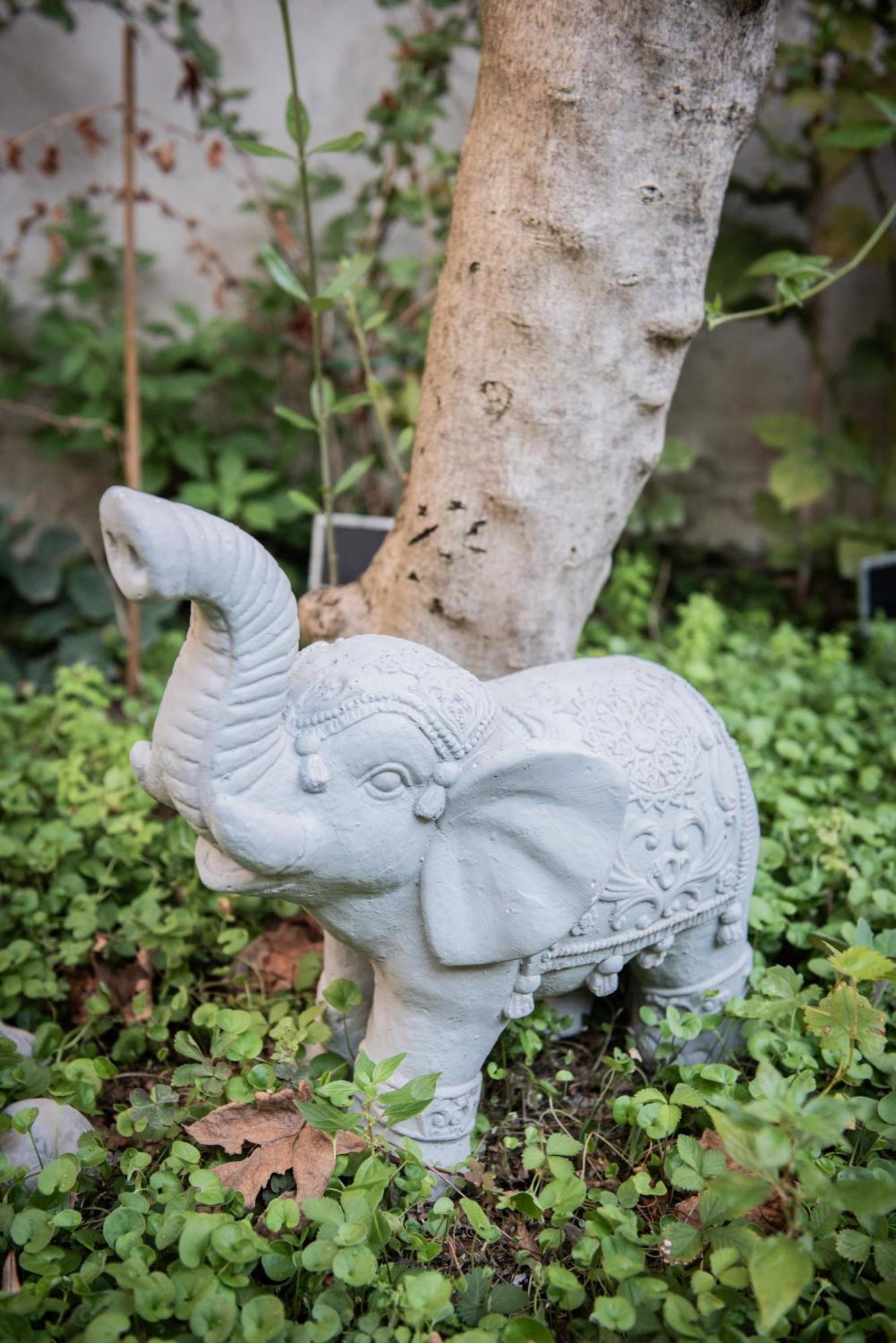 Casa Babbuino Hotel Verona Luaran gambar